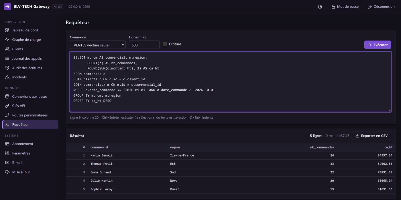 Requêteur SQL intégré avec résultat